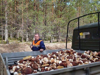 2408723548.jpg (131.53 КБ) 17402 просмотра Просто картинка в интернете!!!