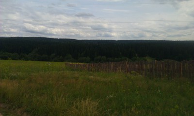 IMAG0410.jpg
